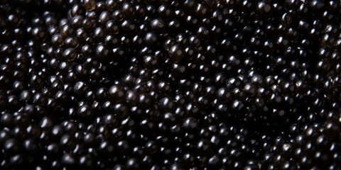 Macro photo of black caviar