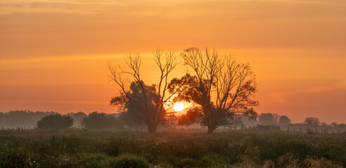 Wall Mural - a beautiful, colourful morning over a farm.pastures with grasses and trees