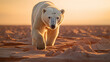 Polar bear after global warming disaster concept