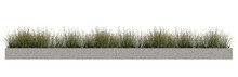 Small Plants With Yellow Flower In Concrete Planter, Green Grass Isolated On Transparent Background..