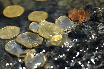 Canvas Print - coins under water, business concept