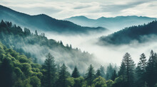 Smoky Cloudy Mountains Trees Earth