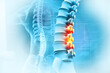 © Crystal light - Human spine on blurred medical background. 3d illustration