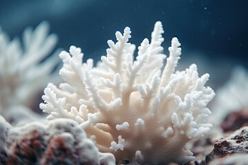 Wall Mural - White coral on dark blue background. Underwater photo of sea life, Close up of a beautiful white coral in shallow depth of field, AI Generated