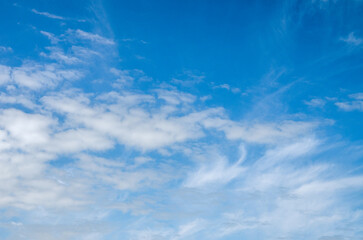 Wall Mural - white clouds in blue sky.