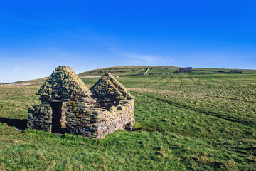 Poster - Old stone barn covered with moss on a moor in Shetland