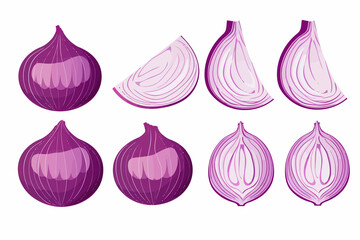 Wall Mural - slices of Onion vector flat minimalistic isolated vector style illustration