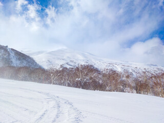 Wall Mural - View of the ski resort summit from mountainside with powder snow flying  (Niseko, Hokkaido, Japan)