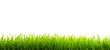Fresh green grass field isolated on transparent  background for montage product display, Png files