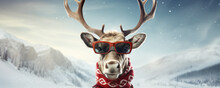 Portrait Of Reindeer Rudolph With Sunglasses. Merry Christmas Banner.