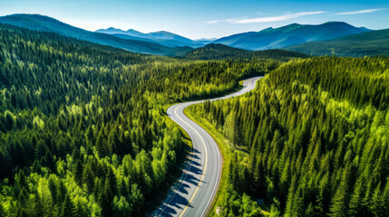 Wall Mural - Mountain landscape with coniferous forest and road under blue sky