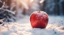 Red Apple In The Snow