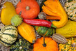 Collection of fresh healthy fruits and vegetables
