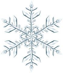 Wall Mural - Big complex Christmas snowflake in gray colors