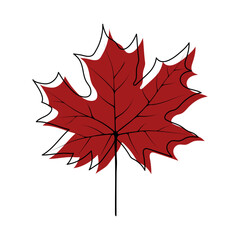 Wall Mural - Autumn Maple Leaf