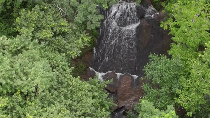 Poster - waterfall in rainforest,aerial view,drone view