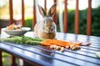 a pet rabbit nibbling on carrots laid out on an outdoor table