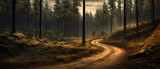 A winding dirt forest road.