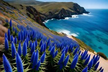Pride Of Madeira Flowering Drought Tolerant Plant In Full Bloom. Echium Candicans. California Invasive Plant. Blurred Ocean Water And Coastline On Horizon