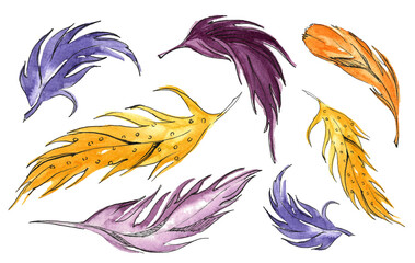  French traditional Mardi Gras symbols. Set of feathers in purple and yellow tones.Hand drawn in watercolor on a white background
