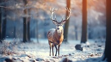 Group Of Deer In Winter Forest Under Snowfall