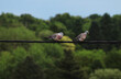 A pair of pigeons sitting on power line
