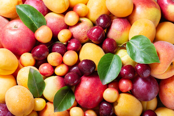 Wall Mural - fresh fruits as background, top view