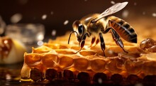 Close-up Of A Bee On A Honey, Bee Doing Honey, Bee In Beehive, Close-up Of Bee Doing Honey In Beehive, Honey Background, Bee Wallpaper