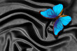 bright blue tropical morpho butterfly on black silk fabric. top view