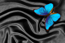 Bright Blue Tropical Morpho Butterfly On Black Silk Fabric. Top View