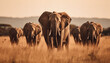 Large African elephant herd walking through the savannah at sunset generated by AI