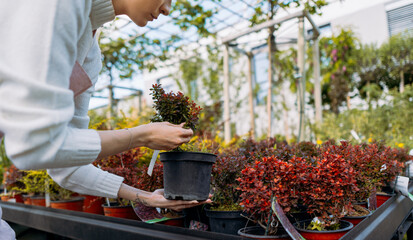 Portrait of young caucasian female farmer in casual clothes and apron, taking care of plants