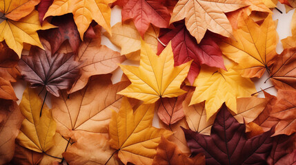 A vibrant background filled with colorful autumn leaves, featuring a raw and artistic style.