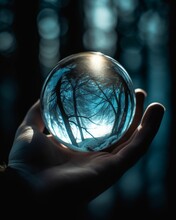 Crystal Ball With Reflection Of A Forest On A Hand