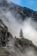 Wall Mural - Tracy Arm 8