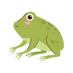 Wall Mural - frog amphibian illustration