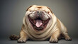 A fat laughing dog