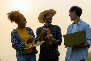 Group of farmers are discussing in the field, using tablets. Two men and one woman work as a team in agricultural business.