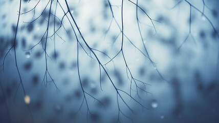 Wall Mural - background wet autumn window with raindrops on the glass transparent autumn view copy space