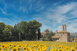 © Fotografia Juan Reig - Pubol is a small town located in the municipality of La Pera, province of Girona, Catalonia. View of the castle of Dali and the sunflower fields.