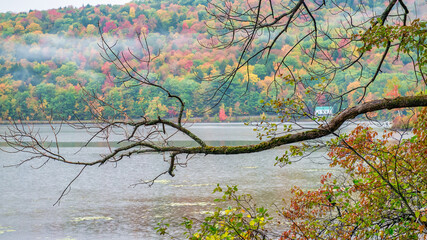 Wall Mural - A lake in the forest, autumn foliage season