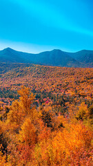 Sticker - Autumn foliage in fall season. Red autumn landscapes in fall, trees and mountains of New England