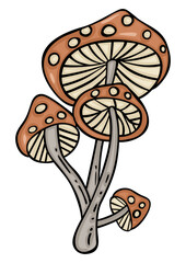 Canvas Print - Hand drawn cartoon doodle of fresh mushrooms