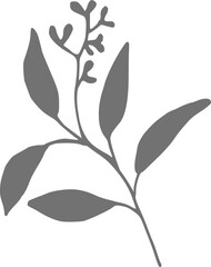 Wall Mural - Hand drawn dark silhouette of eucalyptus tree branch with berries. Christmas artistic drawing, icon. Isolated floral  element, plant. Hand drawn vector illustration for greeting card, web. 