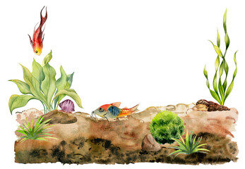 Wall Mural - Hand drawn watercolor aquarium fish, algae, snails shells on seabed. Marine exotic underwater illustration. Isolated on white background. Design for shops, brochure, print, card, wall art, textile.