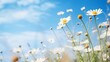 low angle photo of beautiful flowers bloom in the meadow or spring or summer field, blue sky in the background, soft focus,