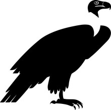 Griffon Vulture Icon 1