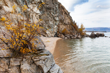Wall Mural - baikal lake on october. olkhon island. beautiful autumn landscape with yellowed bushes on steep clif