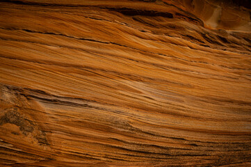 Wall Mural - Full frame of sandstone rock pattern, Rock formation, natural of sand stone on beach in Australia, line and curve of stone use for background