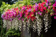 A Cascading Waterfall Of Flowers From Hanging Baskets